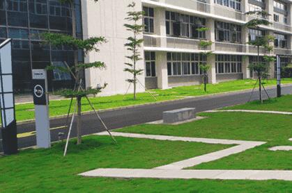 綠化苗木移植過程中，土球散了怎么辦？ 別急，園林公司有辦法