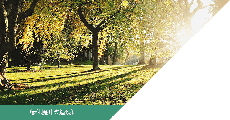 綠化提升改造設計
