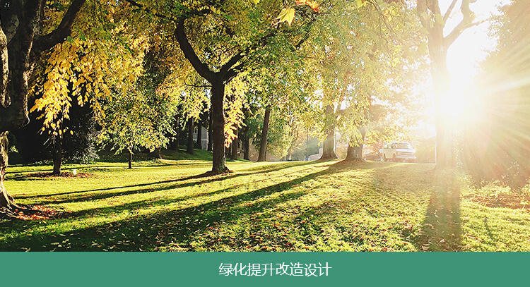 綠化提升改造設計