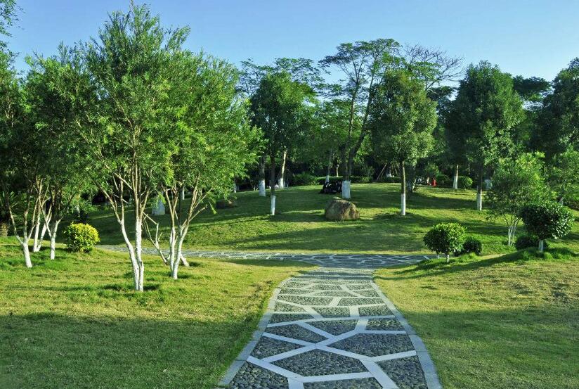 園林工程施工全過程，你如何來進行