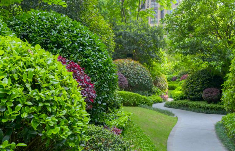 你了解園林綠化養護存在哪些意義