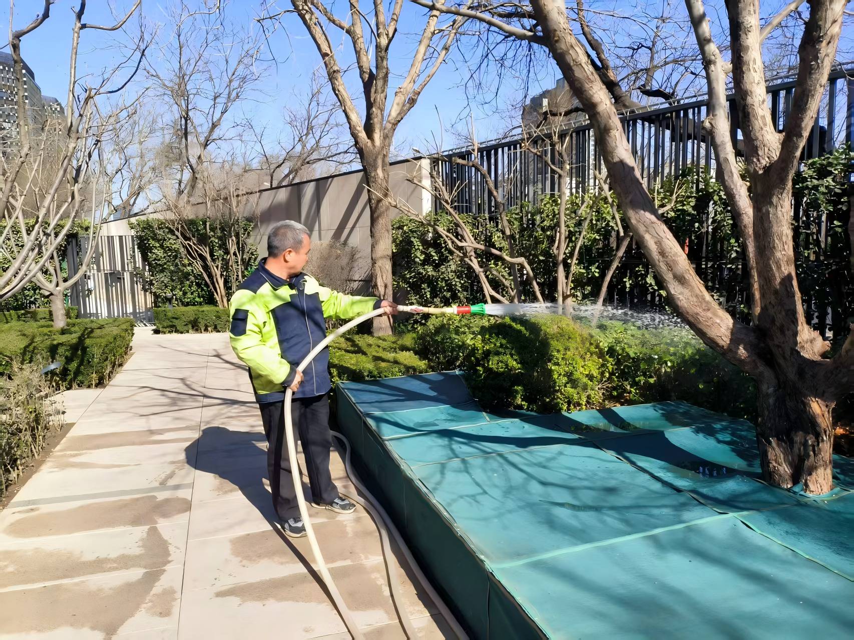 園林綠化之春季養護指南